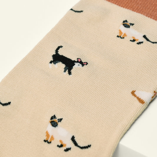 KOSI London The Cats