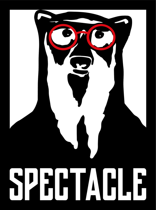 Spectacle Socks